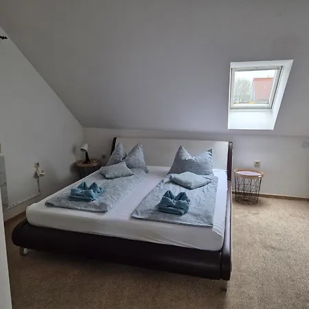 Mainstern Schonungen